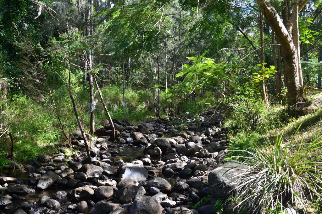 Tuckers Retreat Hotel Canungra Exterior foto