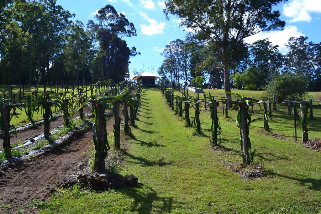 Tuckers Retreat Hotel Canungra Exterior foto