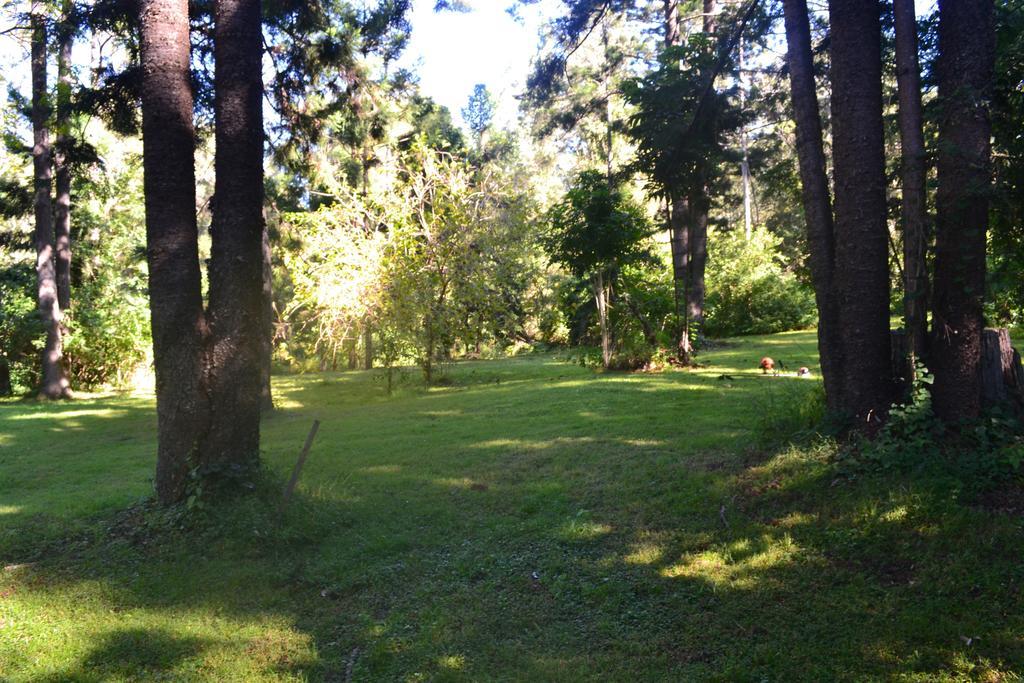 Tuckers Retreat Hotel Canungra Exterior foto