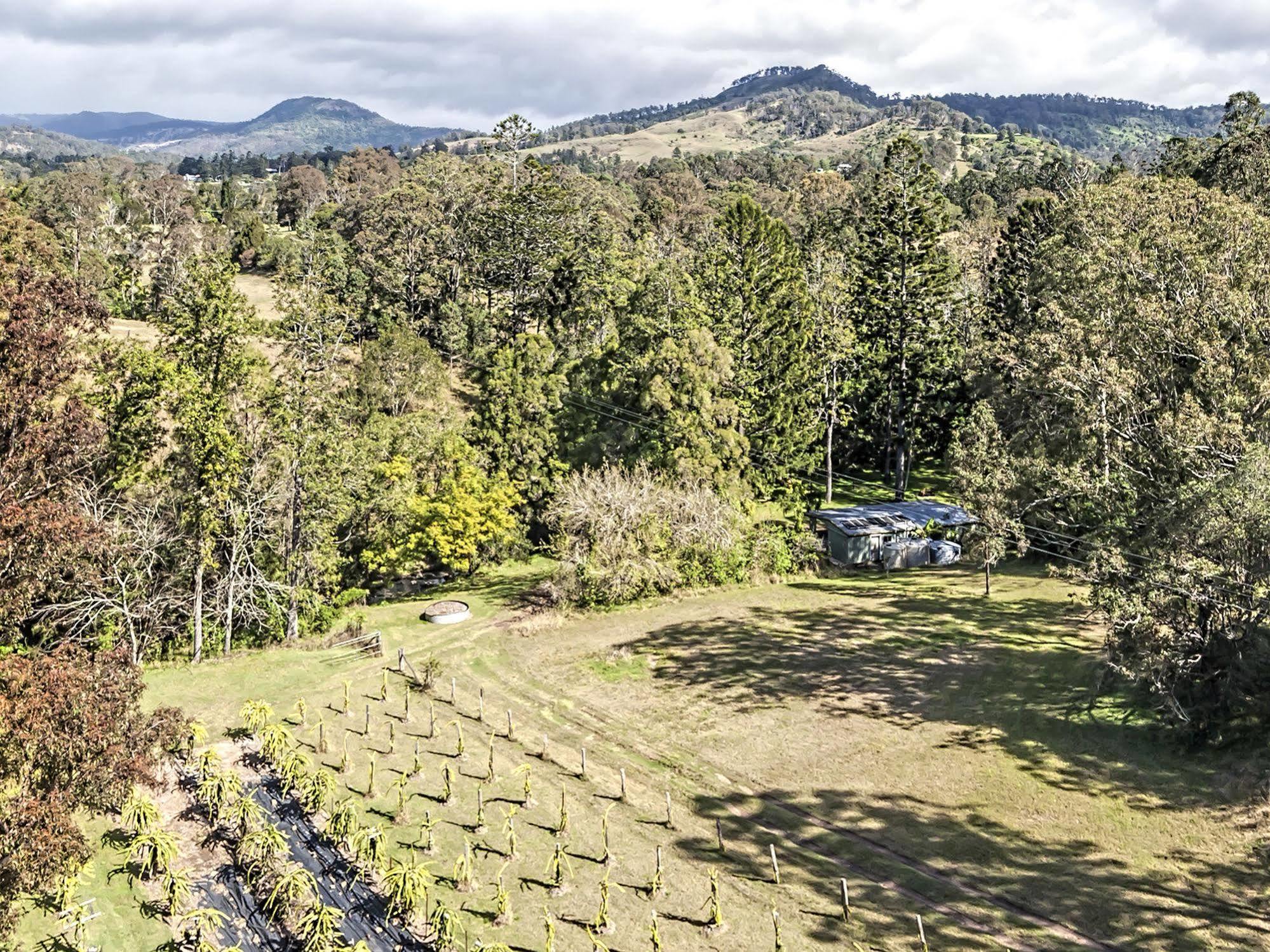 Tuckers Retreat Hotel Canungra Exterior foto