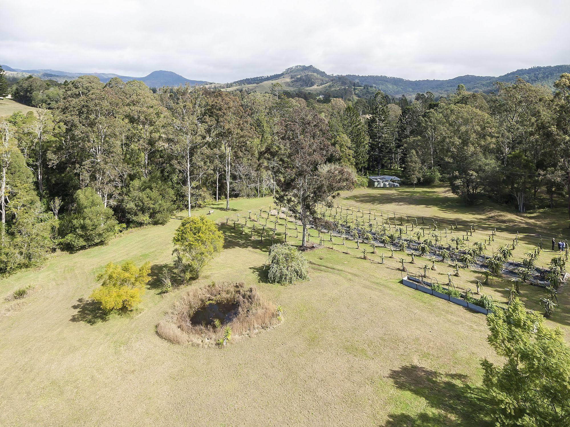 Tuckers Retreat Hotel Canungra Exterior foto
